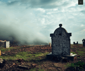 Read more about the article Episode 319 – April 30, 2025