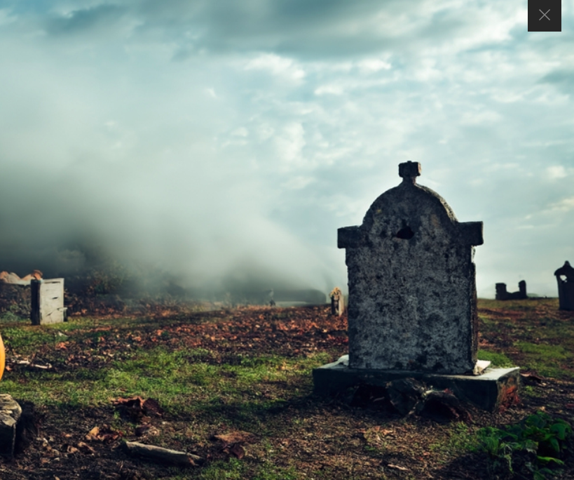 Read more about the article Episode 319 – April 30, 2025