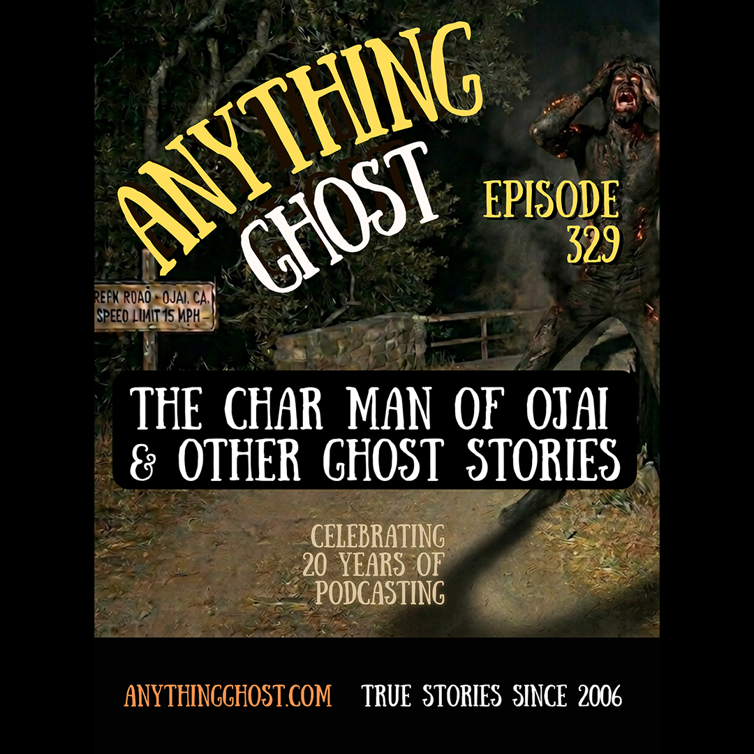 Read more about the article Episode 329 – April 30, 2026