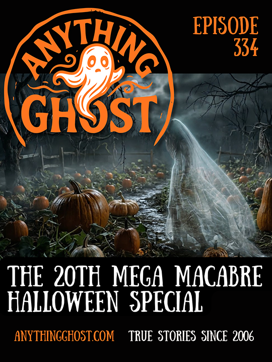 Read more about the article Episode 334 – Oct 26, 2026